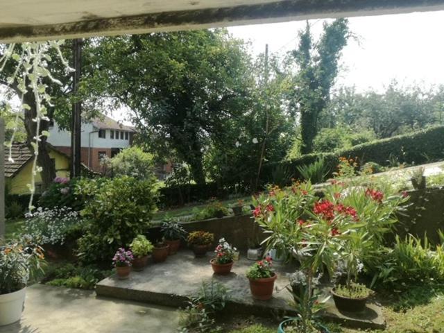 Apartman Bilja วรินรัชกา บานยา ภายนอก รูปภาพ